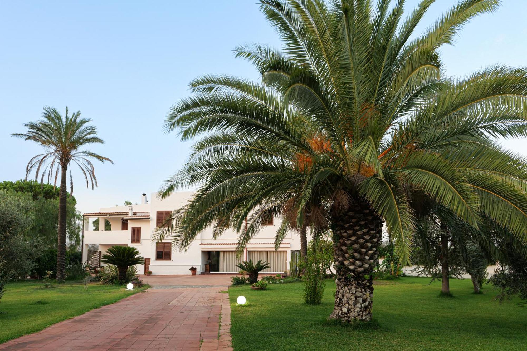 Tenuta Ricco With Pool And Garden Cursi Exterior photo